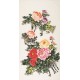 Peony - CNAG000434