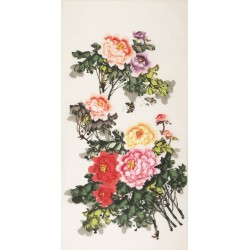 Peony - CNAG000434