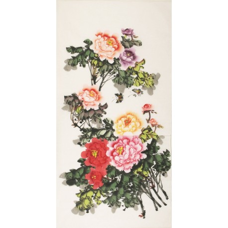 Peony - CNAG000434