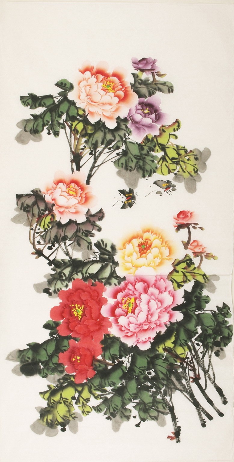 Peony - CNAG000434