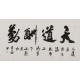 Cursive Scripts - CNAG004365