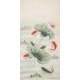 Fish - CNAG000440