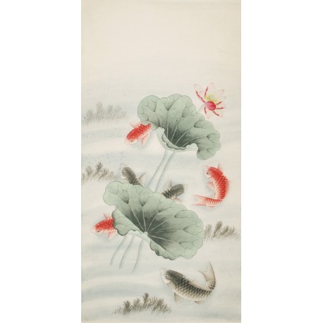 Fish - CNAG000440