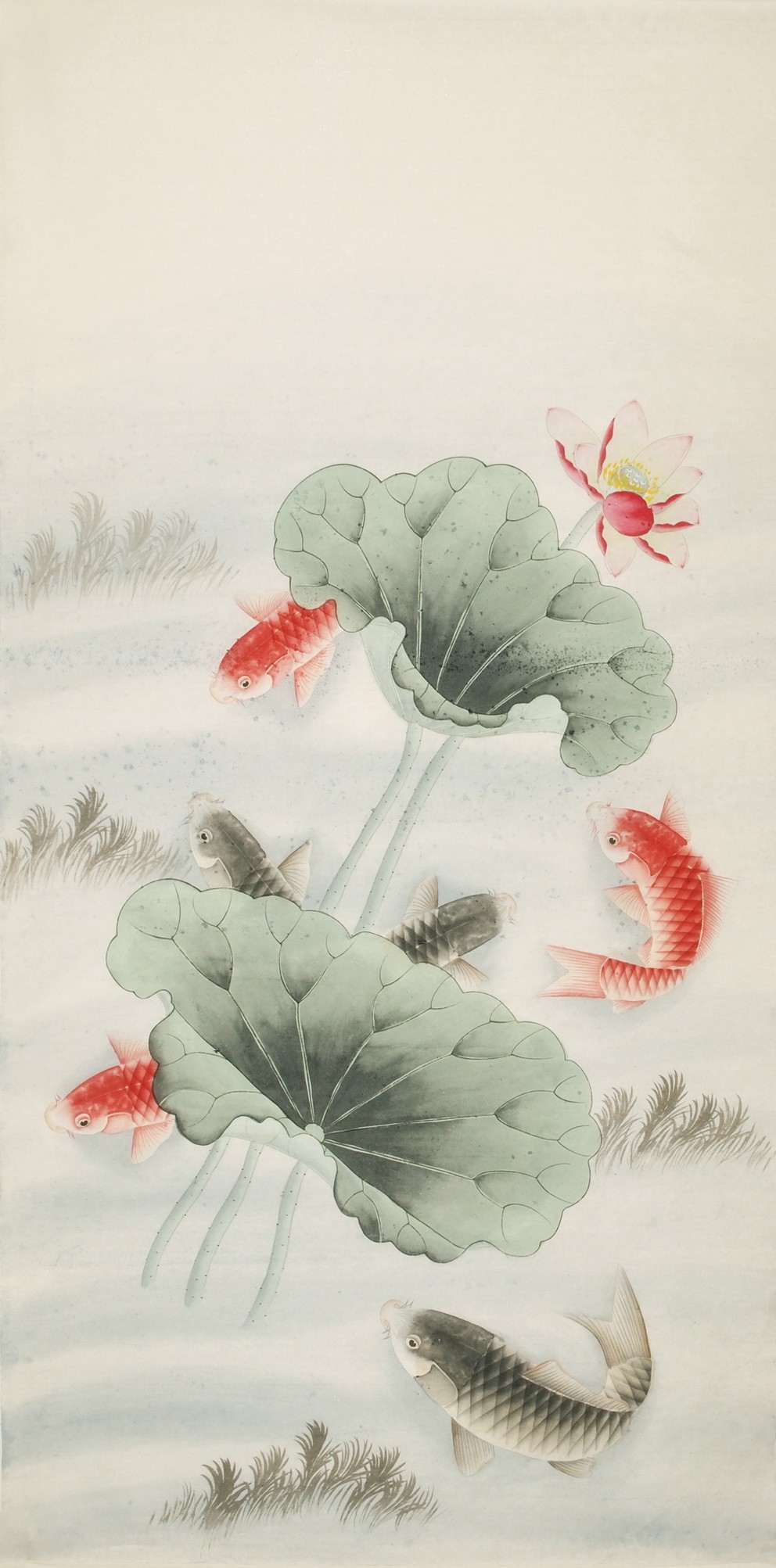 Fish - CNAG000440