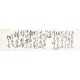 Cursive Scripts - CNAG004433