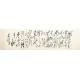 Cursive Scripts - CNAG004434
