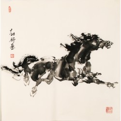 Horse - CNAG004460