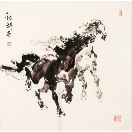 Horse - CNAG004464