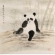 Panda - CNAG004468