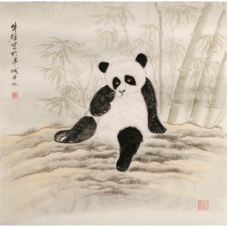 Panda - CNAG004468