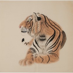 Tiger - CNAG004471