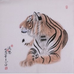 Tiger - CNAG004473