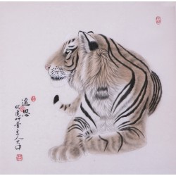 Tiger - CNAG004474