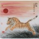 Tiger - CNAG004476