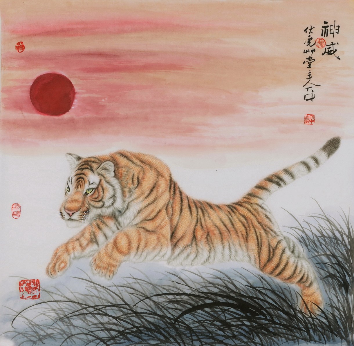 Tiger - CNAG004476