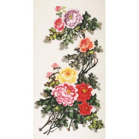 Peony - CNAG000448