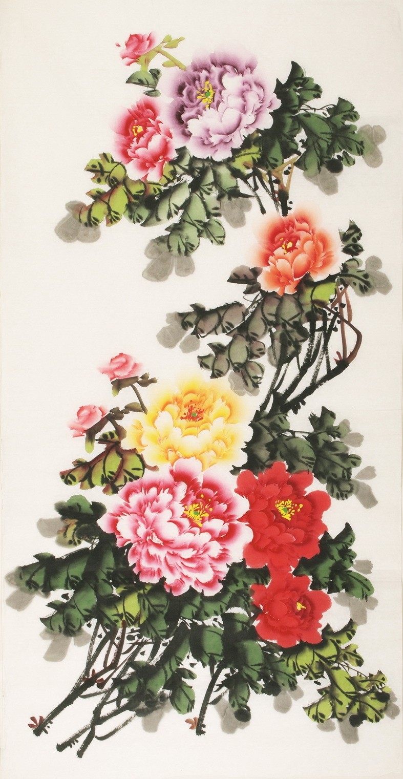 Peony - CNAG000448