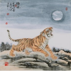 Tiger - CNAG004477