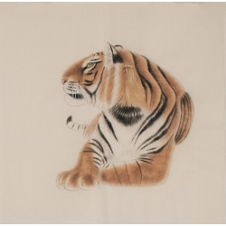Tiger - CNAG004479