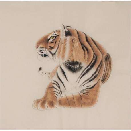 Tiger - CNAG004479