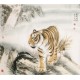 Tiger - CNAG004481