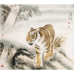 Tiger - CNAG004481