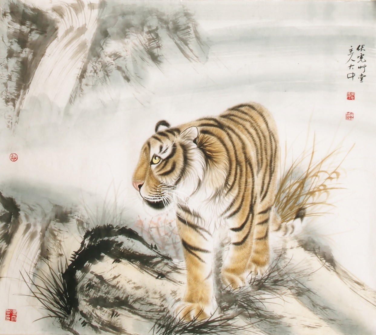 Tiger - CNAG004481