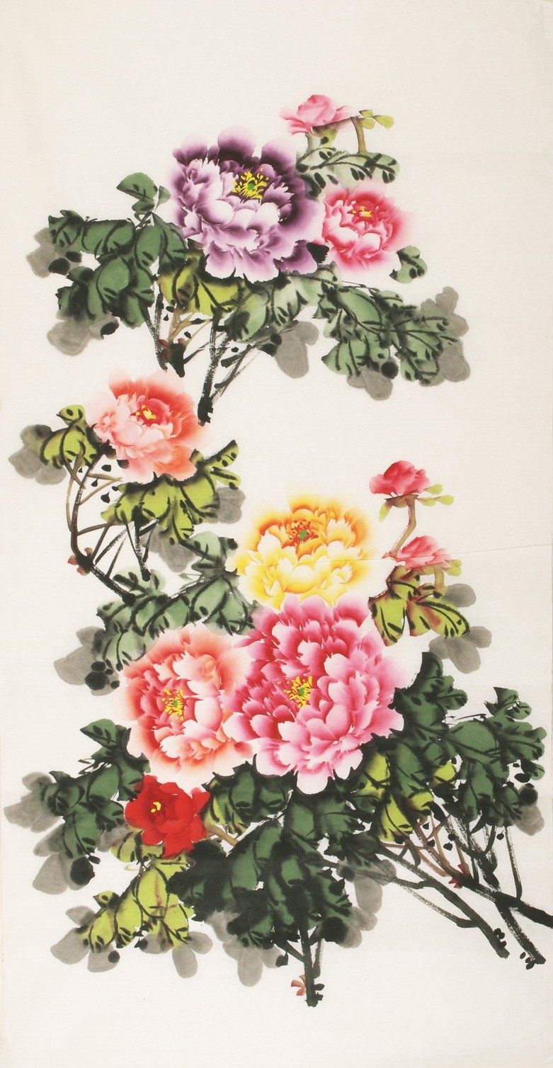 Peony - CNAG000449