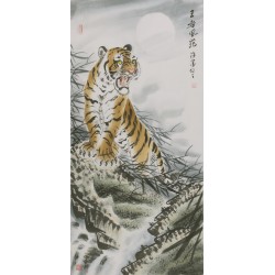 Tiger - CNAG000045