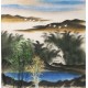 Aquarene - CNAG004519