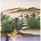 Aquarene - CNAG004520