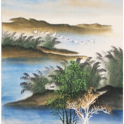 Aquarene - CNAG004525