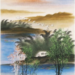 Aquarene - CNAG004526