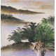 Aquarene - CNAG004532