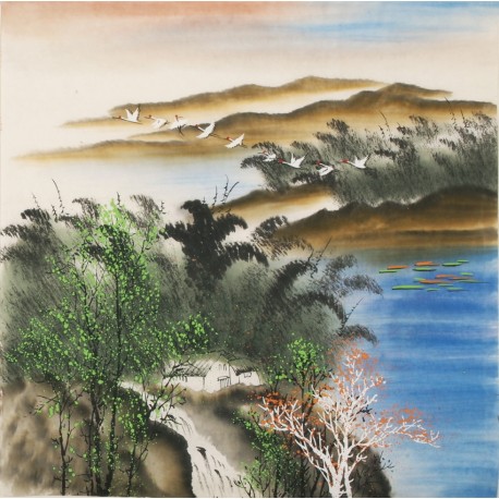 Aquarene - CNAG004537