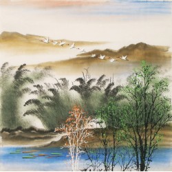 Aquarene - CNAG004538
