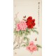 Peony - CNAG000455