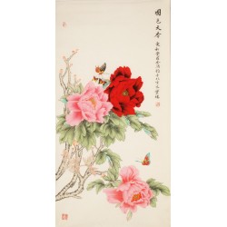 Peony - CNAG000455