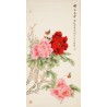 Peony - CNAG000455