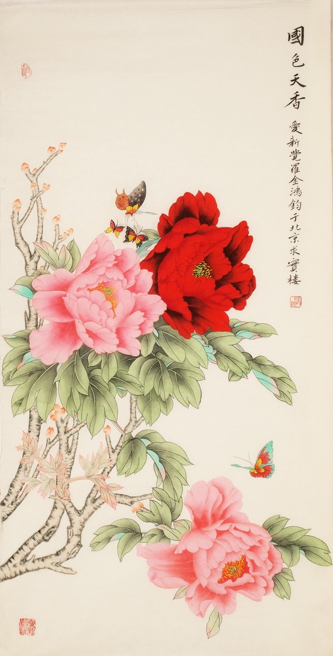 Peony - CNAG000455