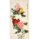 Peony - CNAG000457