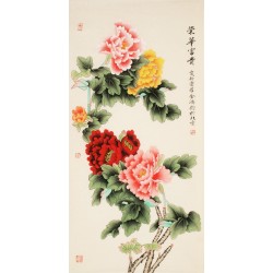 Peony - CNAG000457