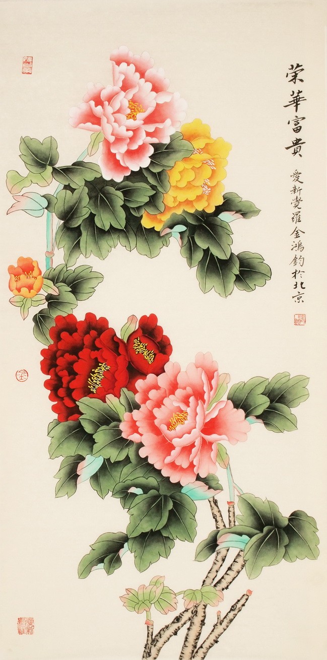 Peony - CNAG000457