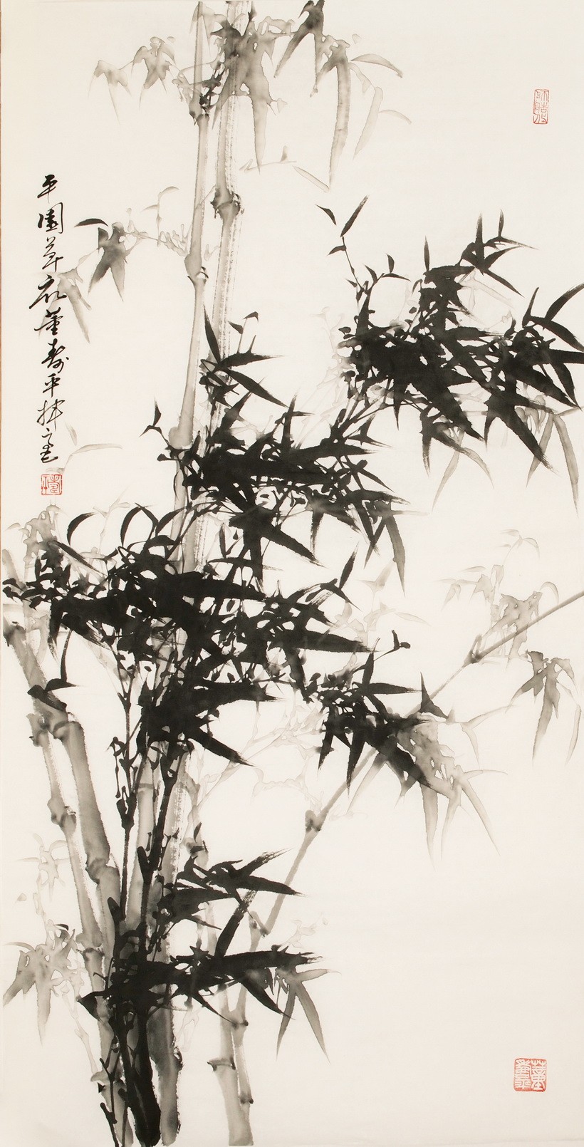 Ink Bamboo - CNAG000458