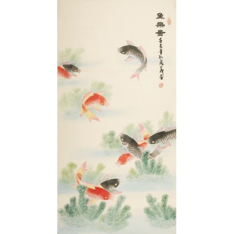 Fish - CNAG000459