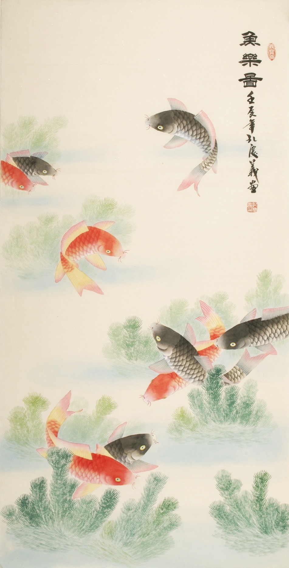 Fish - CNAG000459