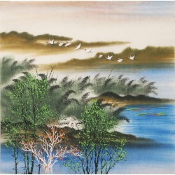 Aquarene - CNAG004590