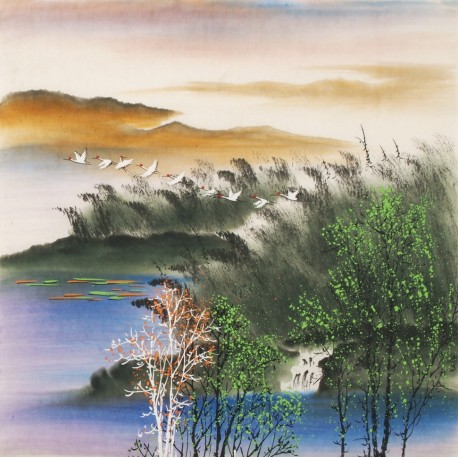 Aquarene - CNAG004591