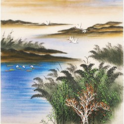 Aquarene - CNAG004592