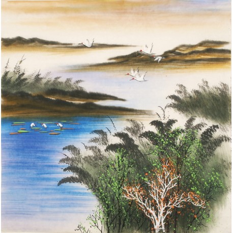 Aquarene - CNAG004592